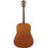 Ibanez V50NJP Open Pore Natural
