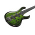 Ibanez SDGB1 Steve Di Giorgio Dark Moss Burst