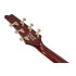Ibanez IC420FM Violin Sunburst