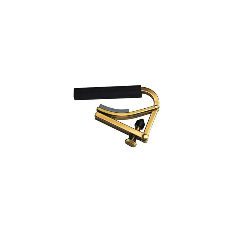 Shubb C2 Golden Capo