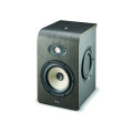 Focal Shape 64 Monitor