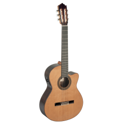 Paco Castillo 234 TE