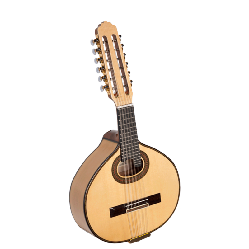 Paco Castillo B6 Bandurria