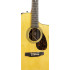 Martin SC-21E Natural