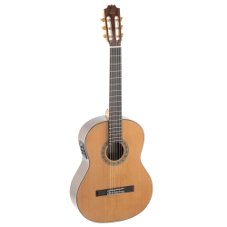 Admira A15 Artisan Series with Fishman electronics