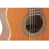 Admira Granada with Fishman pickup