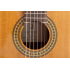 Admira A1 Artisanship Series with Fishman electronics