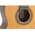 Admira A20 Serie Artesanía Fishman