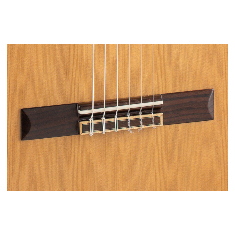 Admira A20 Serie Artesanía Fishman