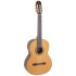 Admira A20 Artisan Series with Fishman electronics