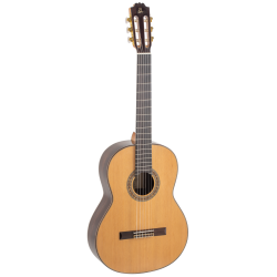 Admira A20 Artisan Series with Fishman electronics