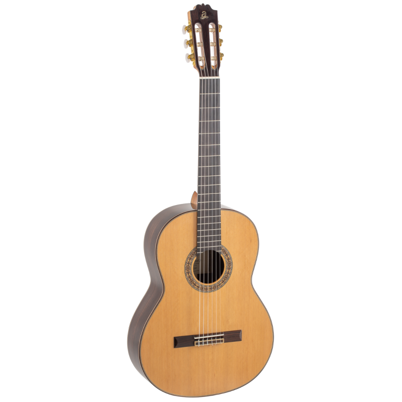 Admira A20 Artisan Series with Fishman electronics