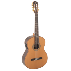 Admira A10 Artistry Series Fishman