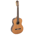 Admira A10 Artistry Series Fishman