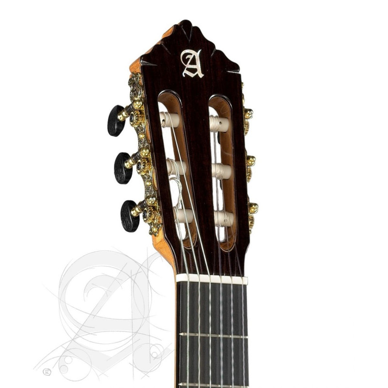 Alhambra 10Fc Flamenca Fishman
