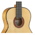 Alhambra 10Fc Flamenco Fishman