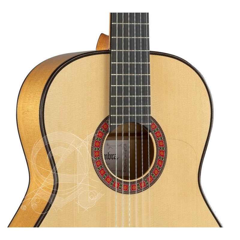 Alhambra 10Fc Flamenca Fishman