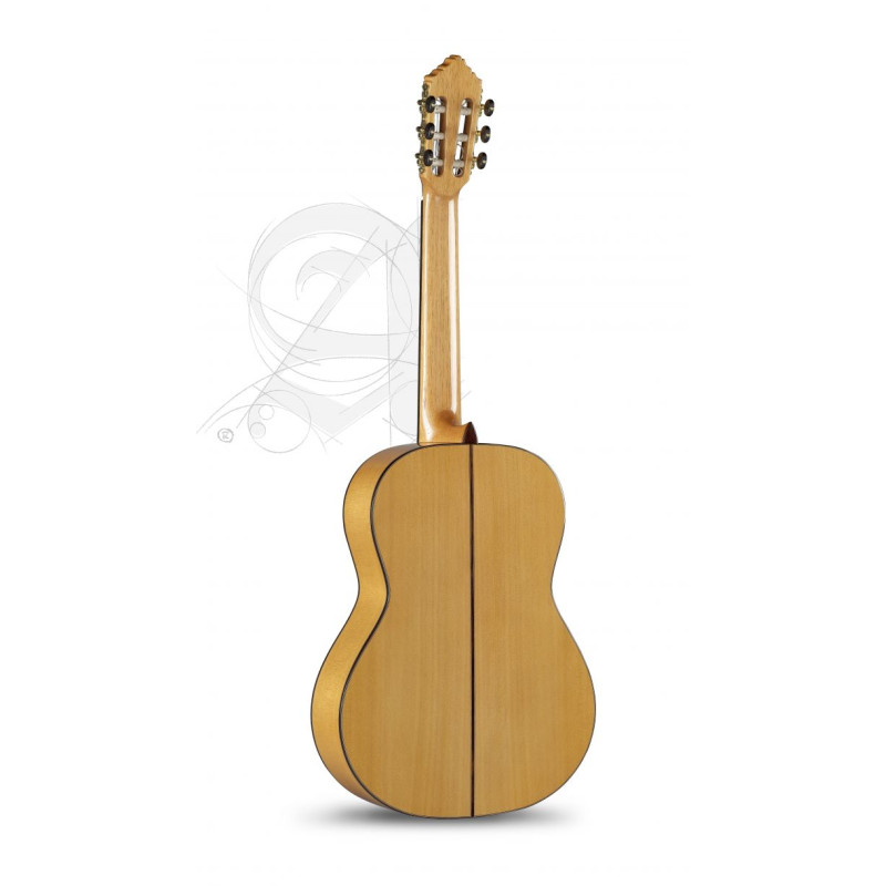 Alhambra 10Fc Flamenca Fishman