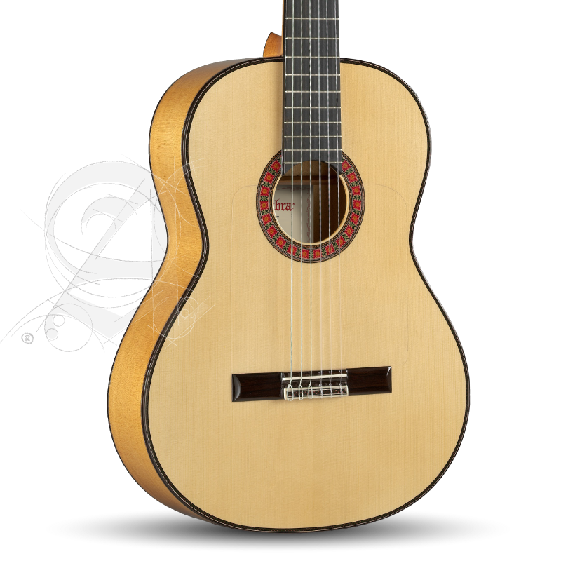 Alhambra 10Fc Flamenca Fishman