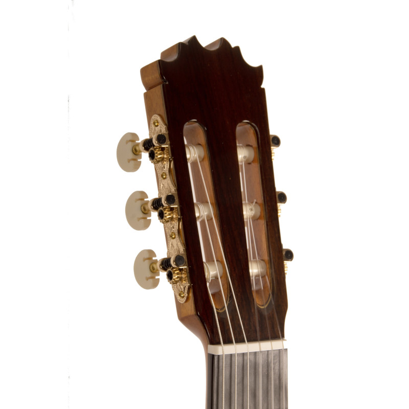 Antonio de Toledo ATF-17BECUT Flamenca