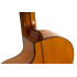 Antonio de Toledo ATF-17BECUT Flamenca