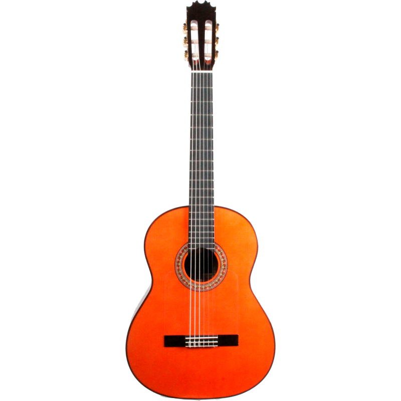Antonio de Toledo ATF-17NR Flamenca
