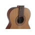 Manuel Rodriguez T62 Tradition