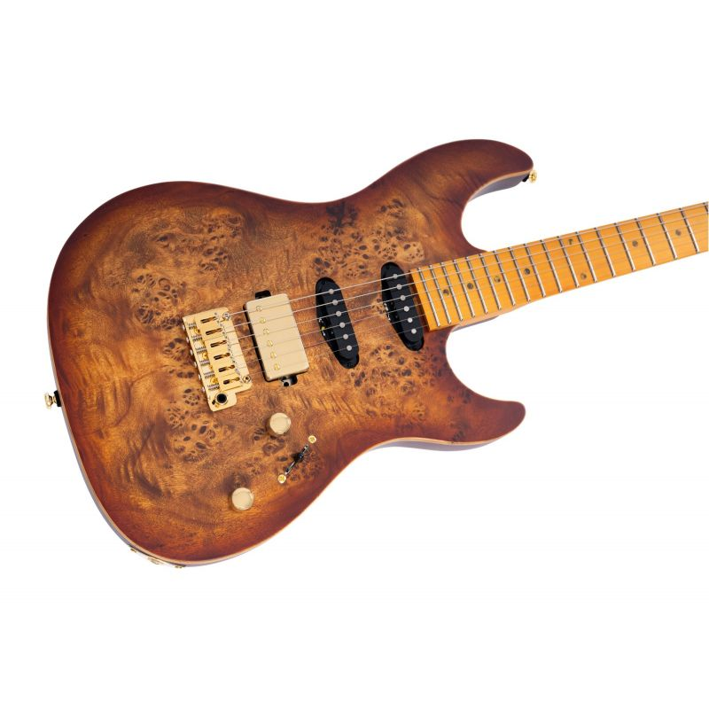 Larry Carlton S10 HSS Natural Burst