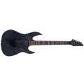 Larry Carlton X5 Transparent Black