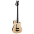 Godin A4 Ultra Natural Fretless A/E