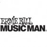 Ernie Ball 022 Steel Wound