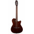 Godin Multiac Mundial Kanyon Burst