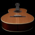 Godin Etude