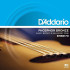 D’Addario EPBB170 Acoustic Bass