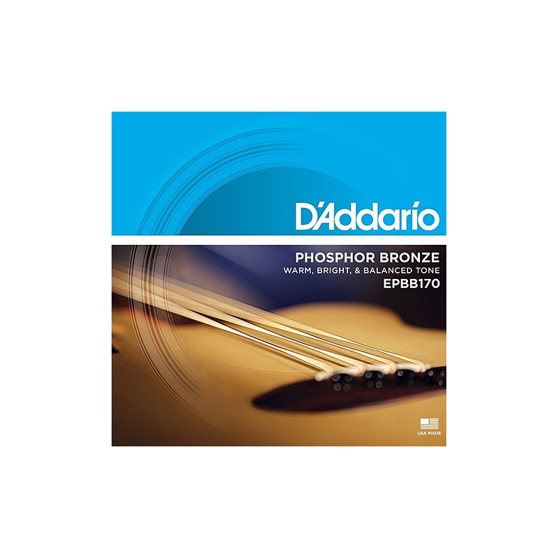 D’Addario EPBB170 Acoustic Bass