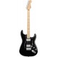 blacktop_stratocaster.jpg
