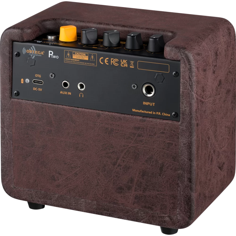 Ortega PTWO Acoustic Amplifier