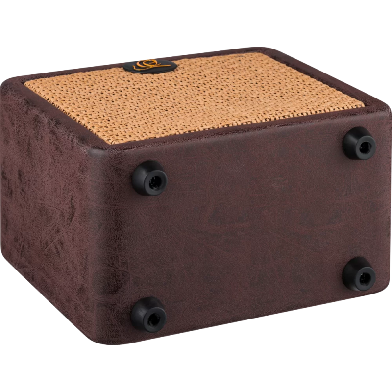 Ortega PTWO Amplificador Acustica