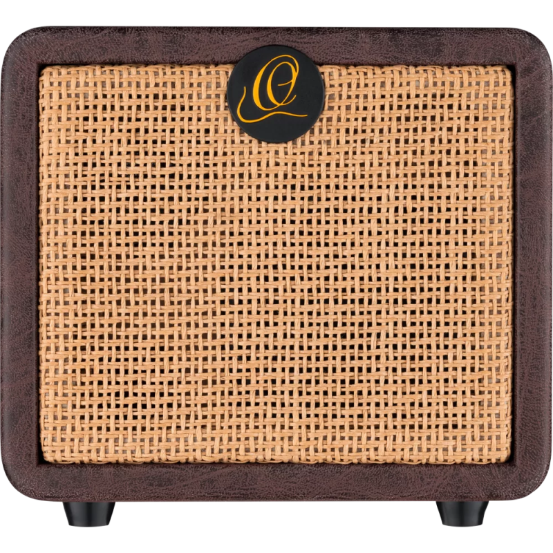 Ortega PTWO Amplificador Acustica