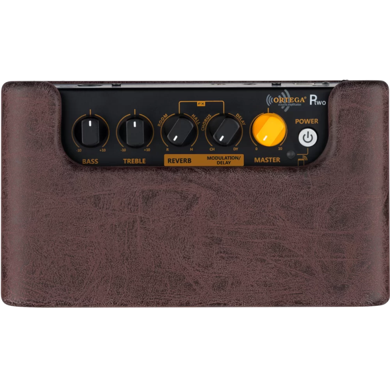Ortega PTWO Acoustic Amplifier