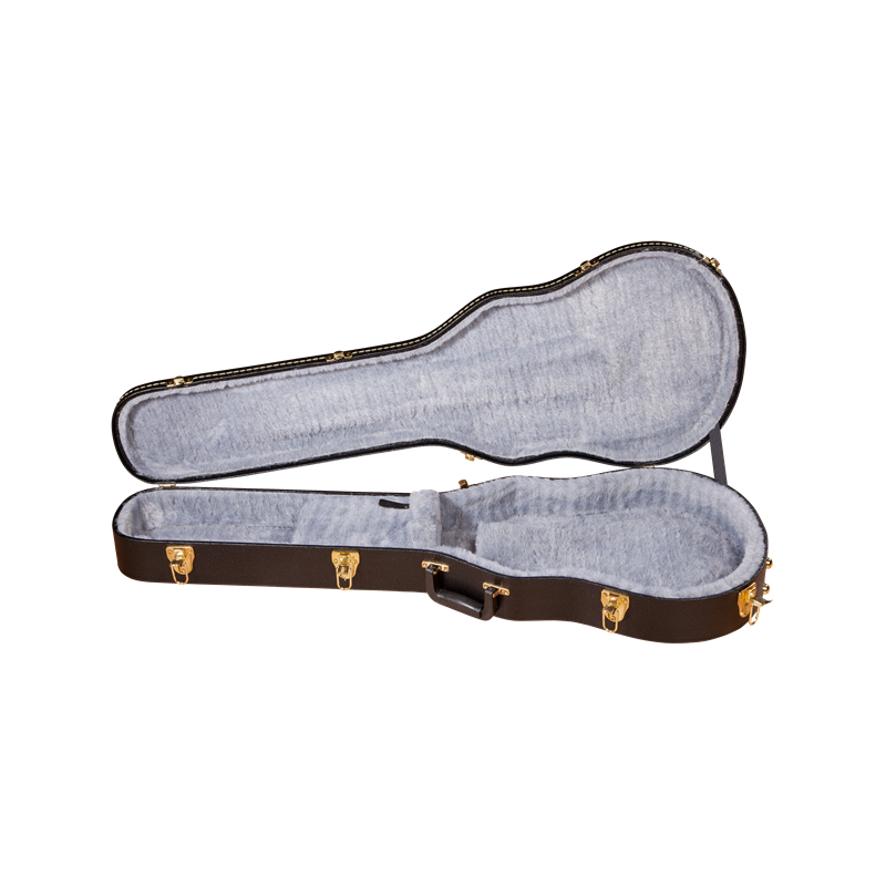 Gretsch G6238FT Estuche