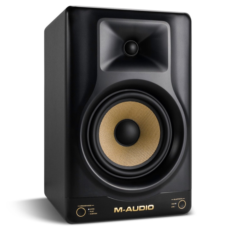 M-Audio Forty Sixty Monitor