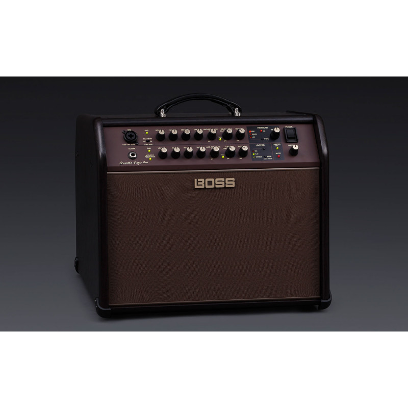 Boss Acoustic Singer Pro