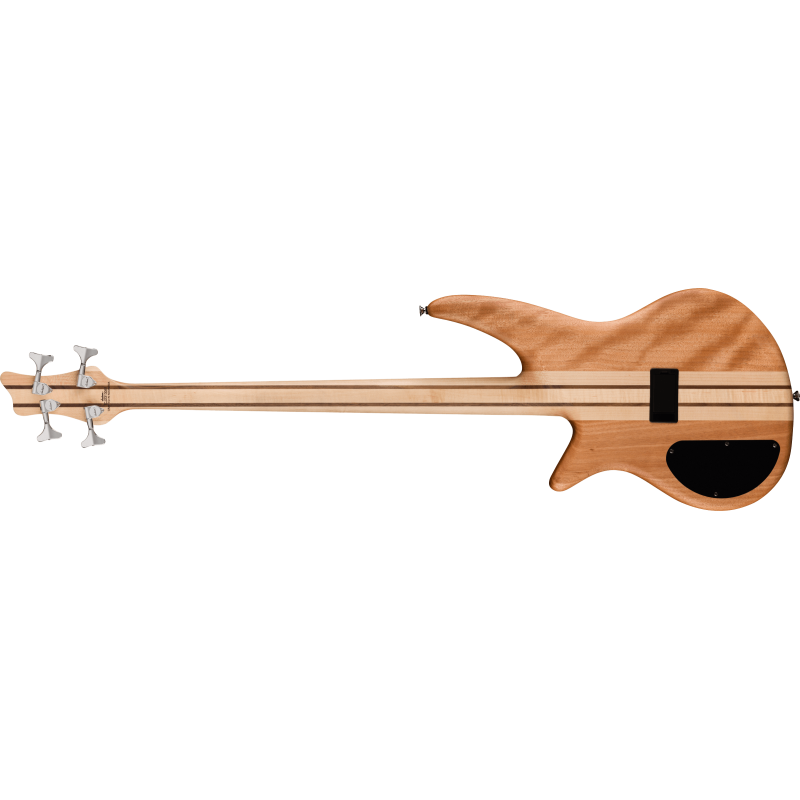Jackson Pro Spectra IV Chlorine Burst