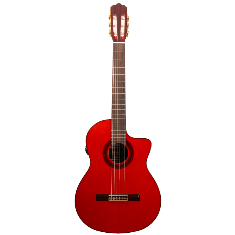 José Gómez F80REQ Flamenco