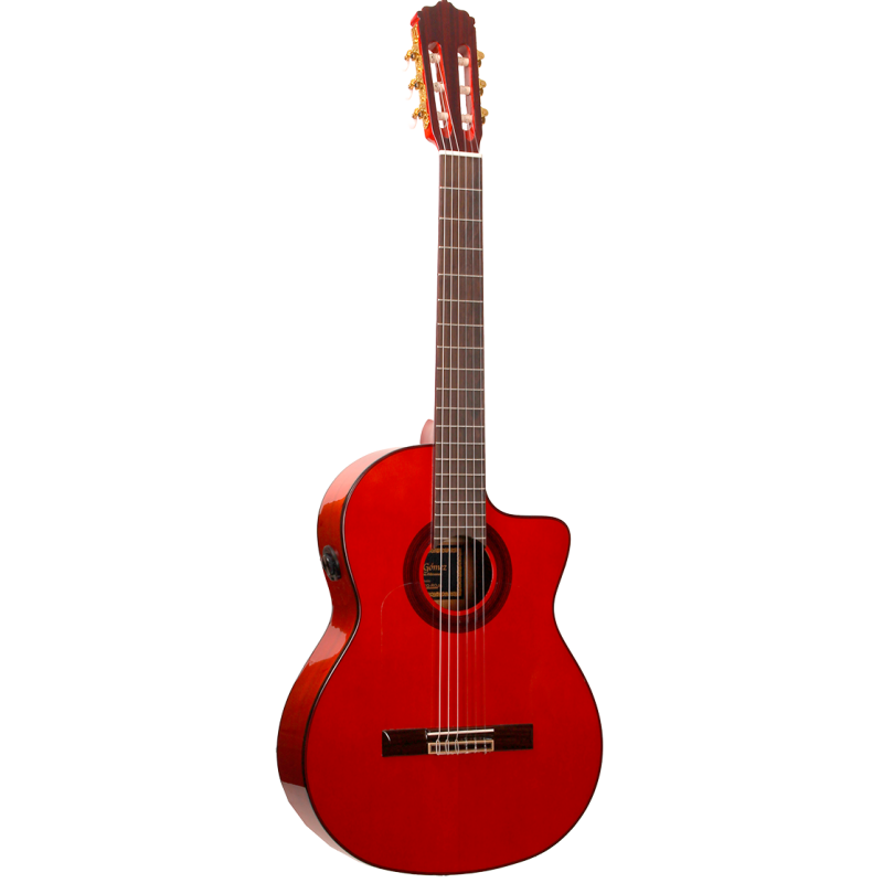 José Gómez F80REQ Flamenco