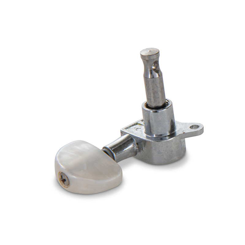 Gewa Clavijero Nacar 3+3 Cromado