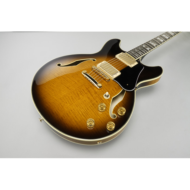 Ibanez JSM100 John Scofield Signature