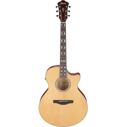 Ibanez AE170 Natural