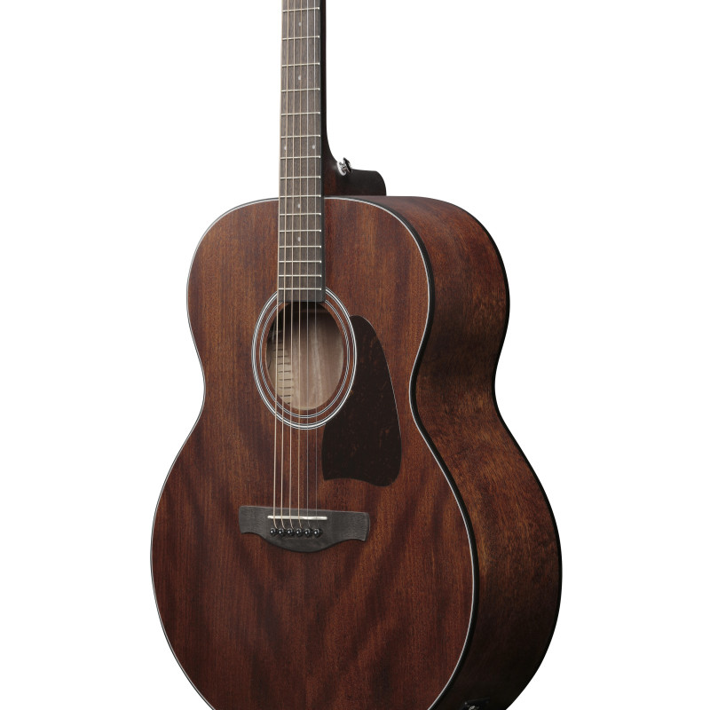Ibanez AJ54E Open Pore Natural
